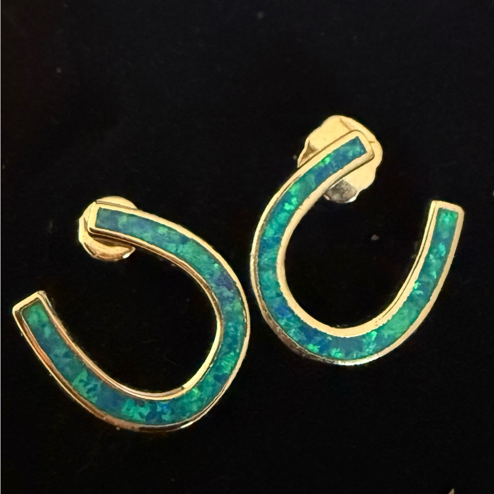 NWT Women’s Montana Silversmith Western Turquoise Tilted Opal Horseshoe Earrings